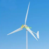 600W 800W 1000W 3kw 5kw 10kw 25000W Wind Turbine Generator Wind Mill System