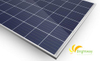 Solar Module Polycrystalline Silicon 325wp