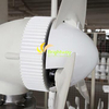 100W 200W 300W 400W Small Wind Energy Generator