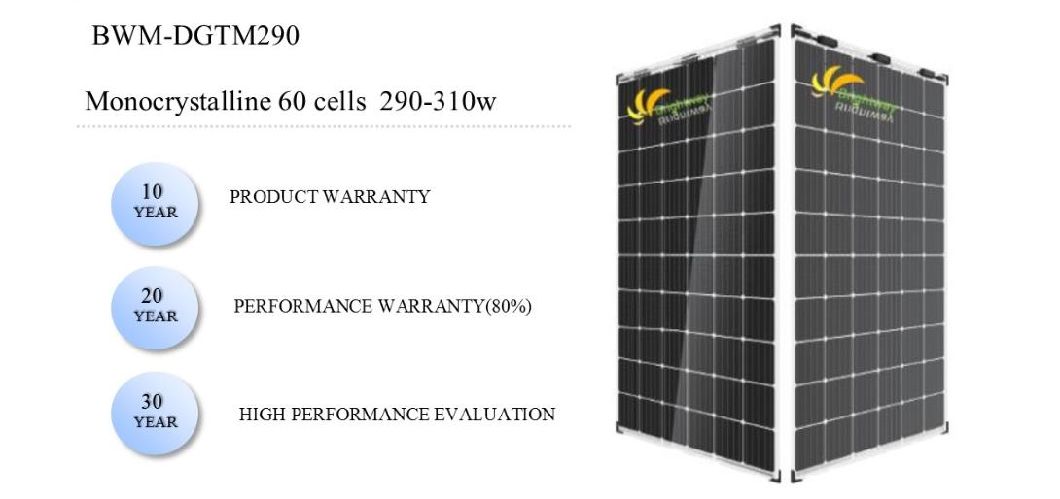 Double Glass Transparent/Monocrystalline Solar Panel 290W