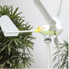 400W 500W 600W Small Wind Energy Generator